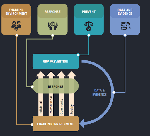 An info-graphic on GBV